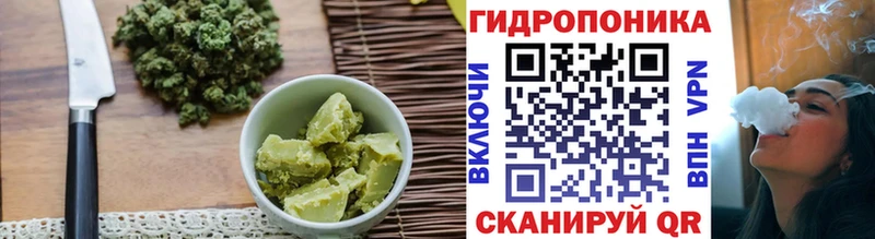 Canna-Cookies конопля  Купить закладки  Нерюнгри 
