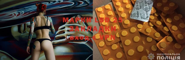 бошки Вязьма