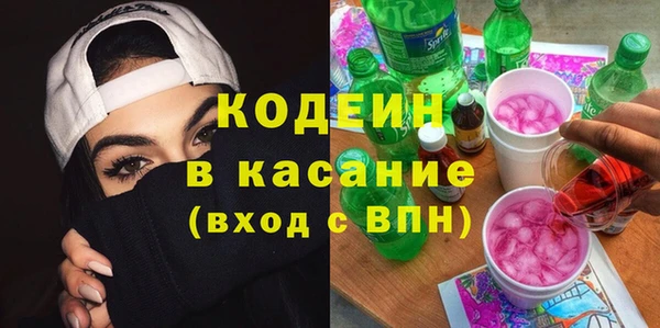 амф Вяземский