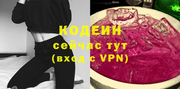 амф Вяземский