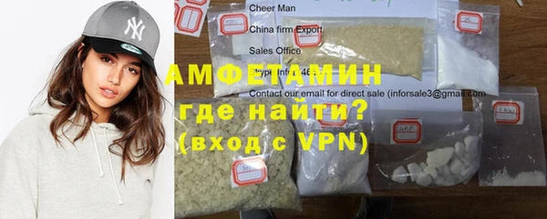 амф Вяземский