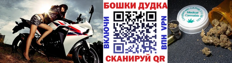 Купить где  Нерюнгри  Каннабис план 